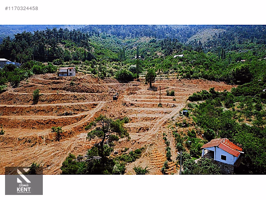 Kemalpaşa Atatürk Kozludere Satılık 6.543 m2 Arazi - İZMİR KEMALPAŞA fotoğraf 16