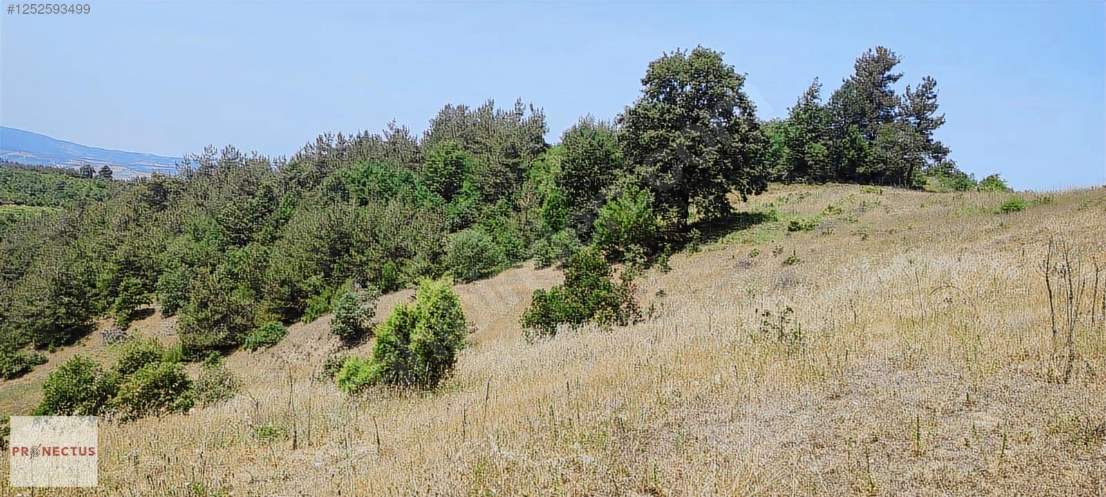 ÇAMDİBİ MAHALLESİ'NDE 8843 M2 SATILIK %5 İMARLI FIRSAT ARSA - KOCAELİ KARAMÜRSEL fotoğraf 5