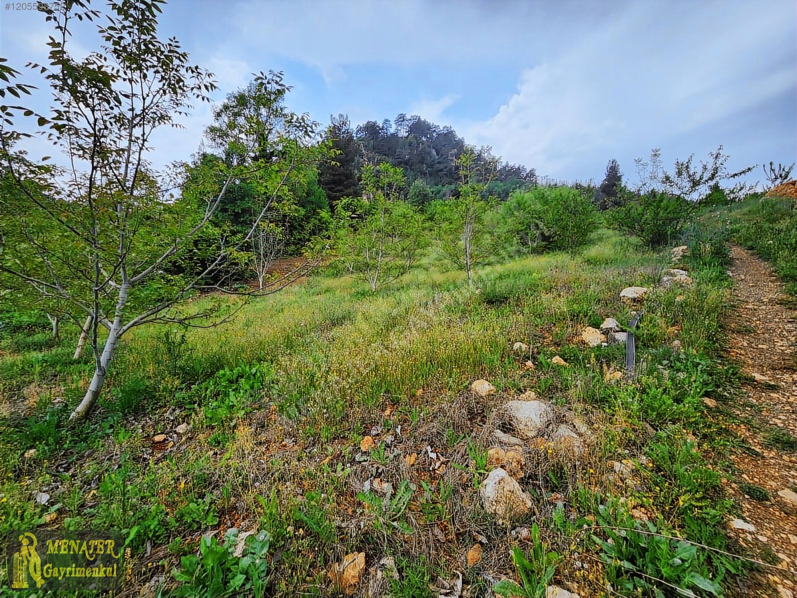 EVCİLİ KÖYÜ 10500 M2 EV VE CEVİZ BAHÇESİ - MERSİN TOROSLAR fotoğraf 9