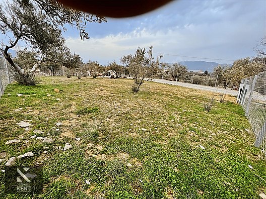 Kemalpaşa Aşağıkızılca Satılık Bahçe 350 m2 Elektrik Su Mevcut - İZMİR KEMALPAŞA fotoğraf 14
