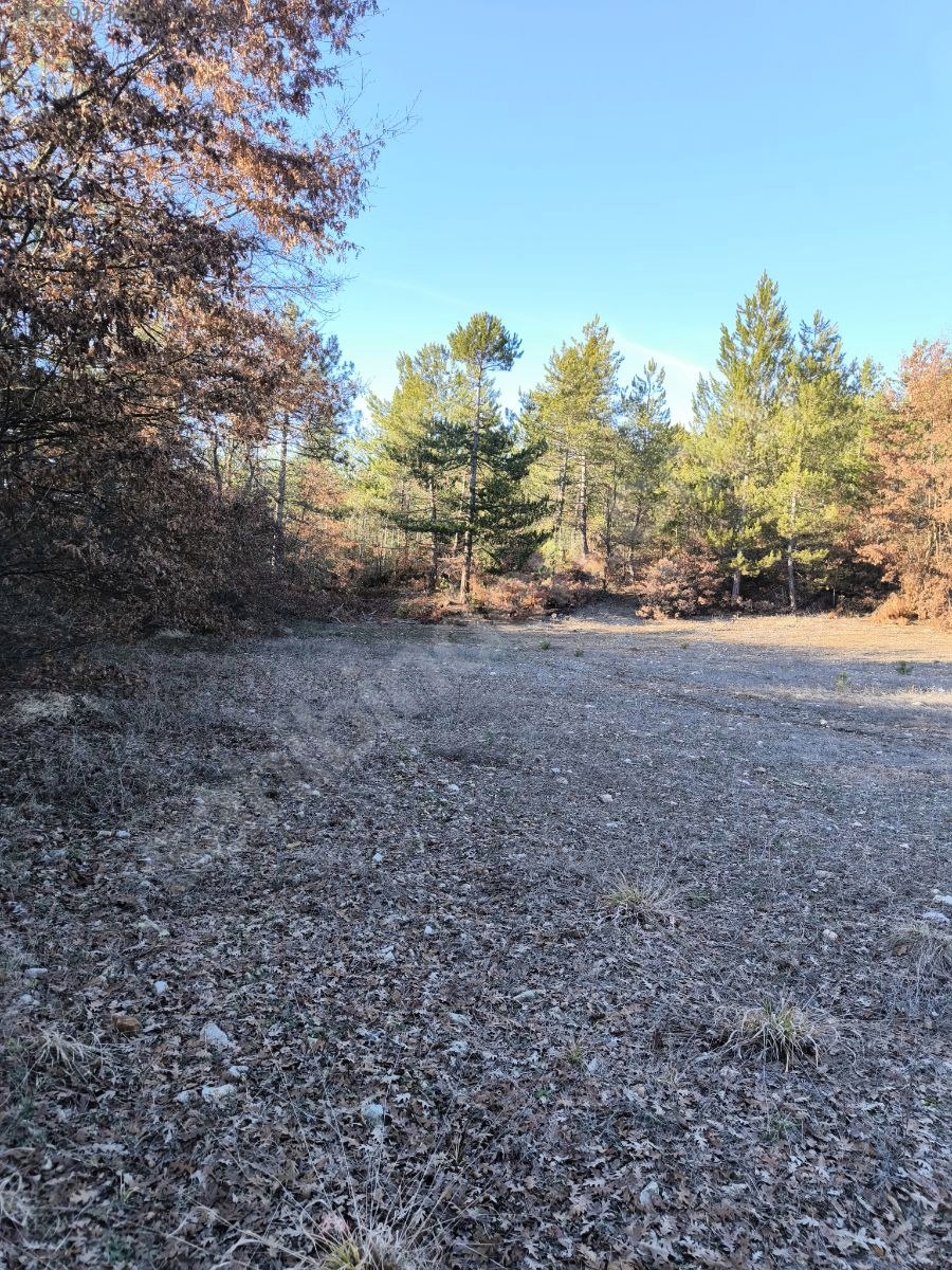 BURSA KELEŞ BAŞAK KÖYÜ’NDE 5.731 M²  TARLA SATILIKTIR - BURSA KELES fotoğraf 14