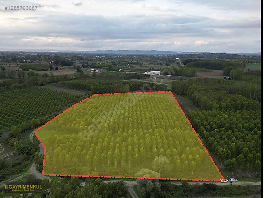 YATIRIM FIRSATI! ERENLER/ŞEYHKÖY MAH. 24.620 M² - SAKARYA ERENLER fotoğraf 16