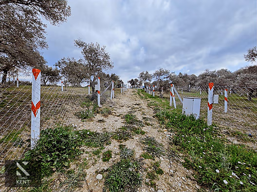 Kemalpaşa Vişneli Satılık 370 m2 Bahçe Elektrik Su Yol - İZMİR KEMALPAŞA fotoğraf 18