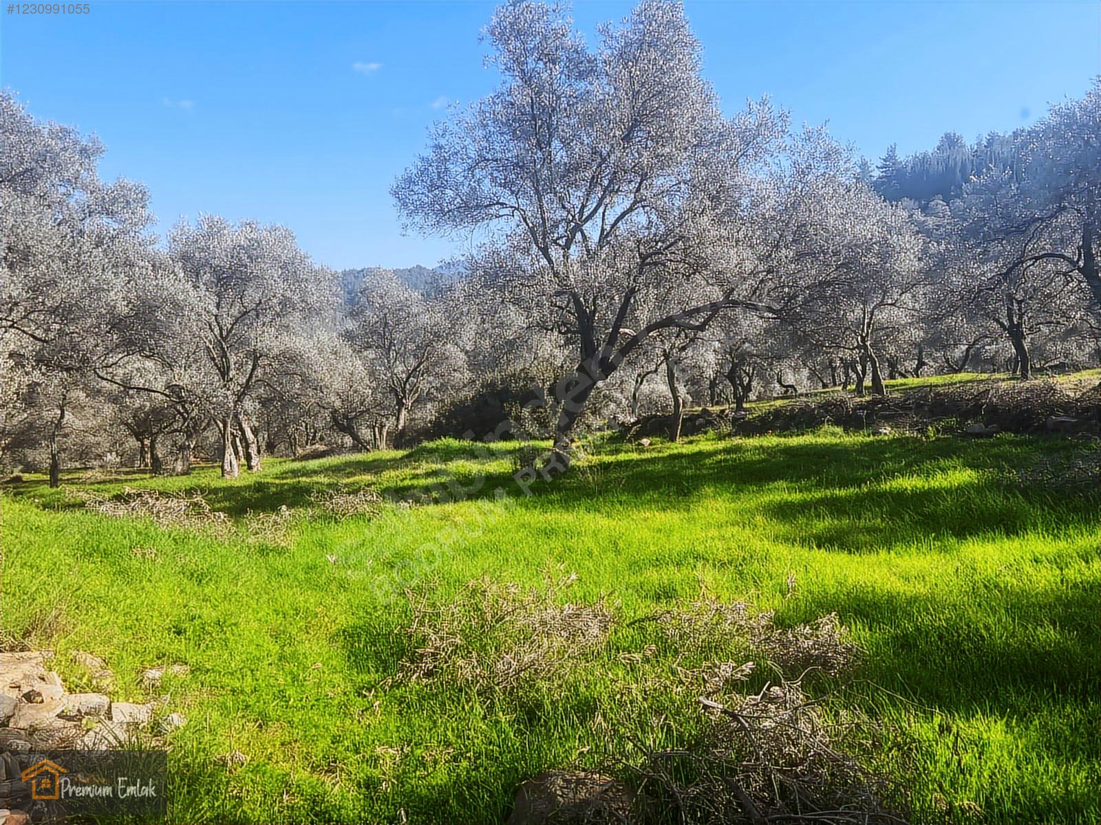 MİLAS KARACAHİSARDA KÖY İÇİ KAĞİR EV VE 980 M2 ARSASI - MUĞLA MİLAS fotoğraf 19