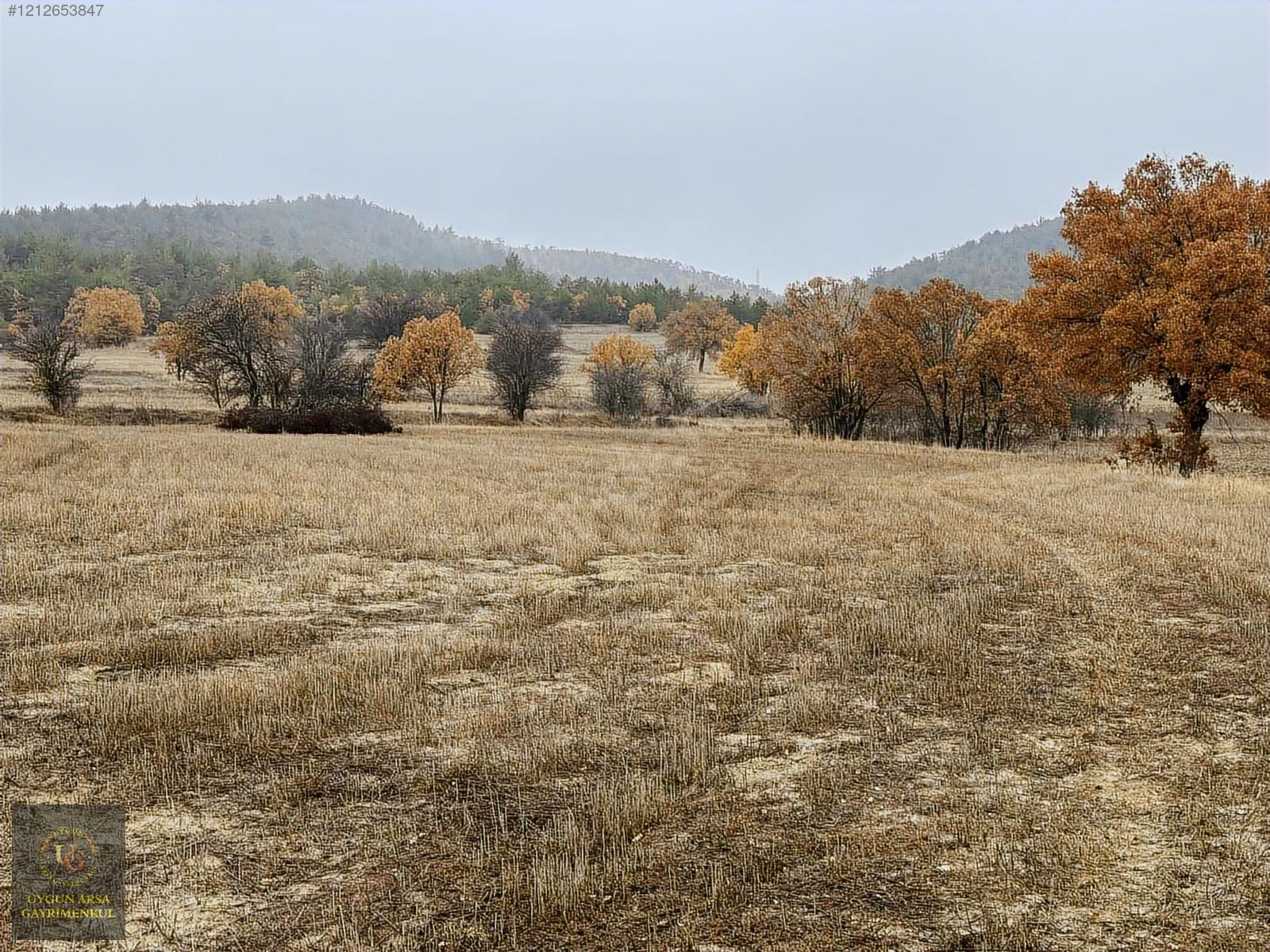 BOLU GÖYNÜK KARAARDIÇ'TA 4.921 M2 UYGUN ARSA - BOLU GÖYNÜK fotoğraf 18