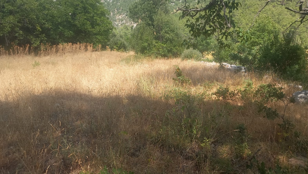 ANTALYA GÜNDOĞMUŞ PAMBELİK  KÖYÜNDE 572  M² TARLA   SATILIKTIR - ANTALYA GÜNDOĞMUŞ fotoğraf 10