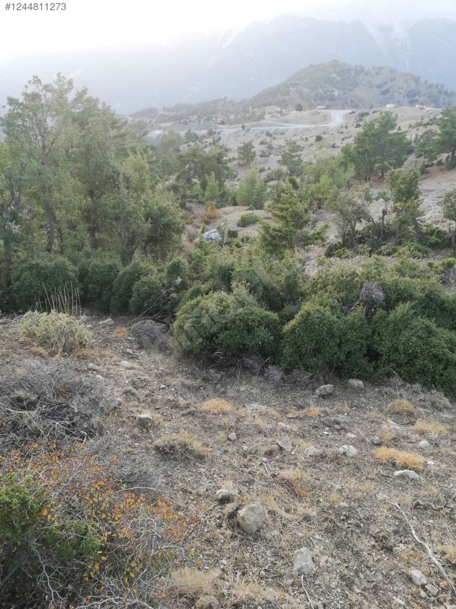 Antalya / Kumluca / Kuzca Mahallesinde 513 m² SATILIK ARSA  - ANTALYA KUMLUCA fotoğraf 6