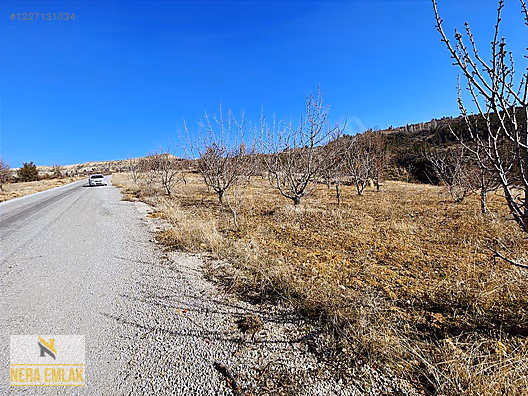 ANA YOL ÜZERİ TEK TAPU EV YAPIMINA UYGUN YETİŞMİŞ KİRAZ AĞAÇLI - KARAMAN SARIVELİLER fotoğraf 14