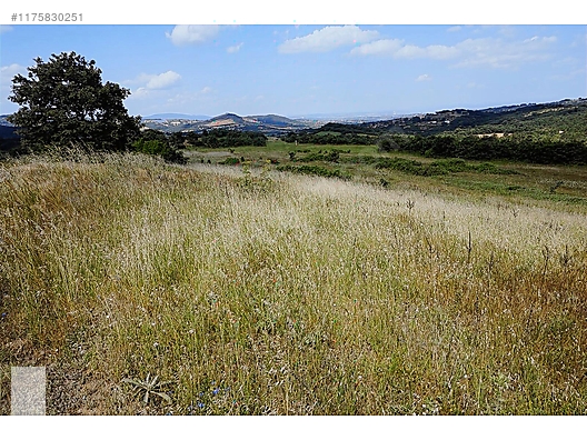 ÇANAKKALE BAYRAMİÇ MURATLAR KÖYÜ 45.000 m2 TARLA - ÇANAKKALE BAYRAMİÇ fotoğraf 14