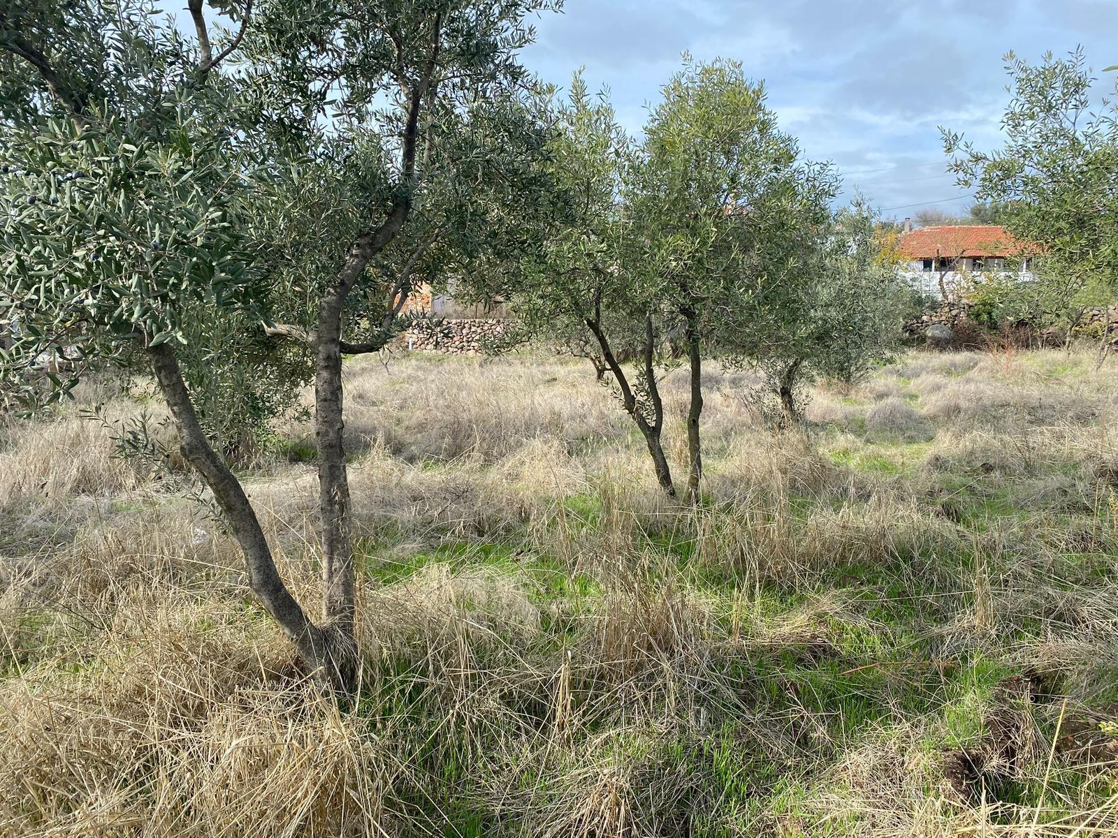 SATILIK 300m2 İmarlı Arsa MANİSA YunusEmre /Karakılıçlı Mah. - MANİSA YUNUSEMRE fotoğraf 5
