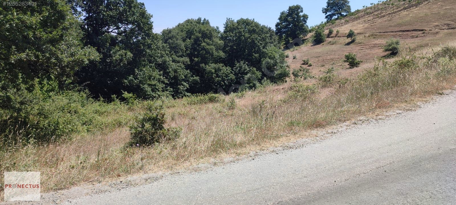 FULACIK MAH. ASFALT YOLA CEPHE 864 M2 SATILIK TARLA, - KOCAELİ KARAMÜRSEL fotoğraf 6