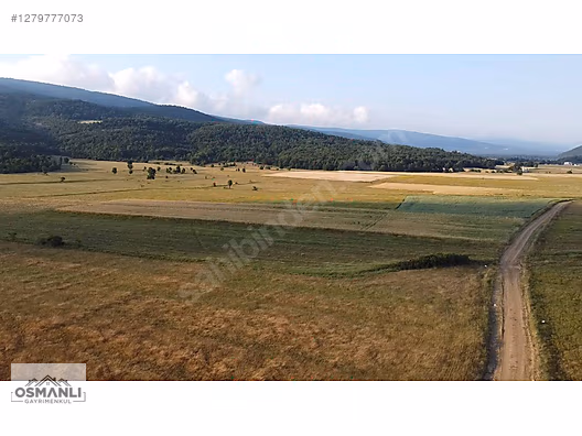 HİSARCIK'TA 4.675 M2 KÖŞE PARSEL YATIRIM FIRSATI - BİLECİK OSMANELİ fotoğraf 10