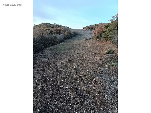 BURSA MUDANYA KAYMAKOBA KÖYÜNDE 537 M TARLA SATILIKTIR - BURSA MUDANYA fotoğraf 4