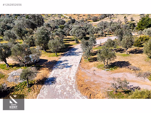 Kemalpaşa Ansızca Satılık 1406 m2 Bahçe - İZMİR KEMALPAŞA fotoğraf 3