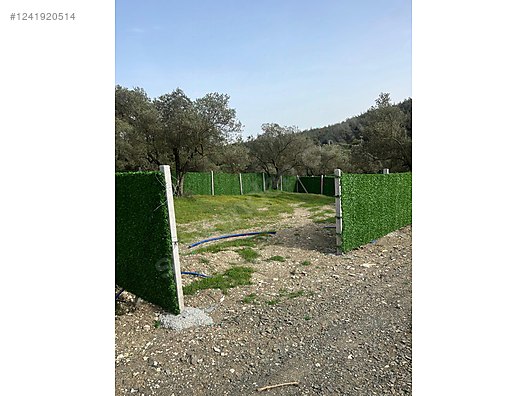 İZMİR-ALİAĞA-BOZKÖY’DE TARLA’NIN 300 M² ‘Sİ SATILIKTIR - İZMİR ALİAĞA fotoğraf 16