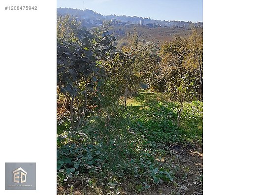 ÇUKURÇAYIR SOFRAKAYA'DA SATILIK ARSA - TRABZON ORTAHİSAR fotoğraf 14