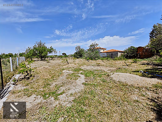 Kemalpaşa Armutlu Satılık 1120 m2 Bahçe - İZMİR KEMALPAŞA fotoğraf 31