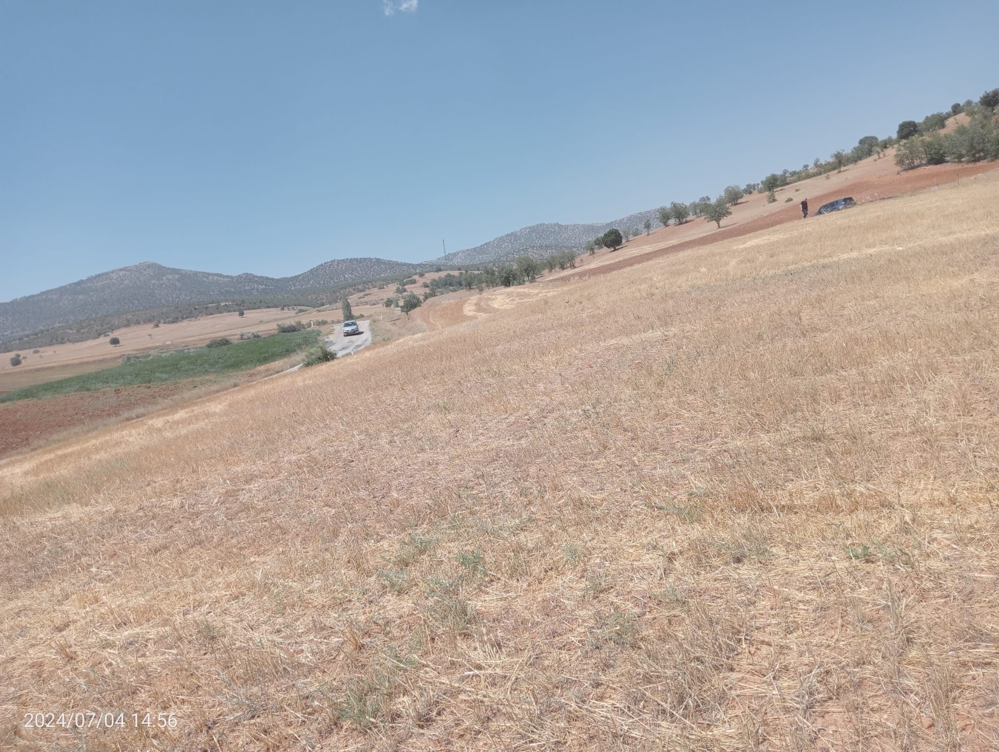    KARAMAN MERKEZ MURATDEDE  KÖYÜNDE 2.927  M²  TARLA  SATILIKTIR - KARAMAN MERKEZ fotoğraf 2