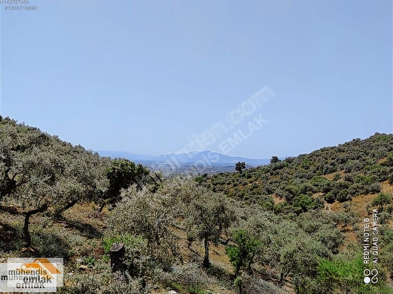 MUHENDİS EMLAK'TAN BAYINDIR KIZILCAOVA KÖYE 350 M. 7756 M2 TARLA - İZMİR BAYINDIR fotoğraf 5