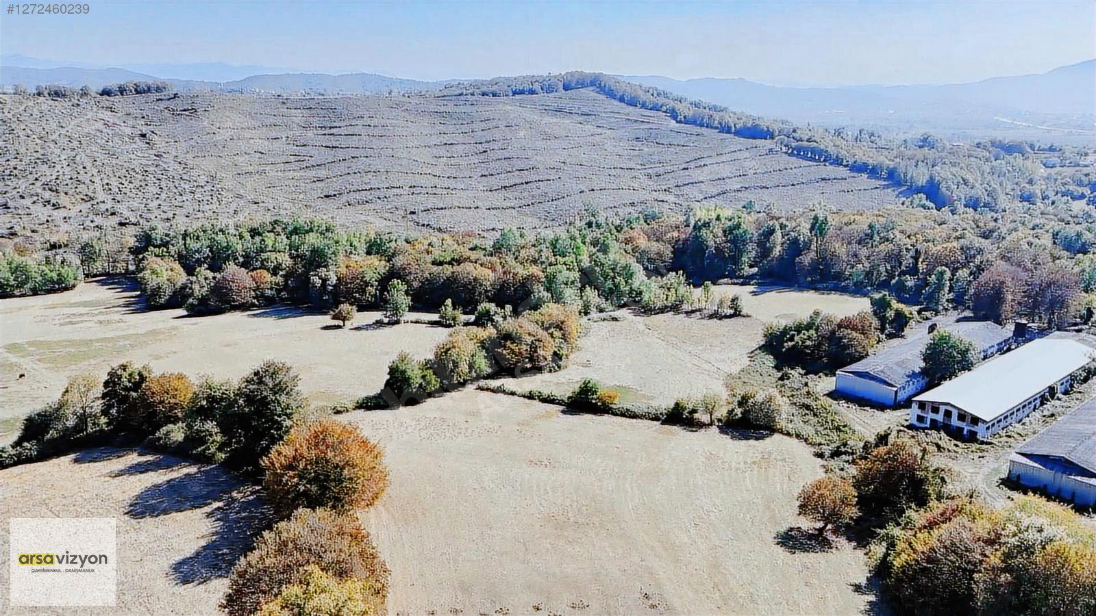 HAVAALANINA 5 km., SATILIK İMARLI,FİLYOS LİMANA 10 km., MÜSTAKİL - ZONGULDAK ÇAYCUMA fotoğraf 20