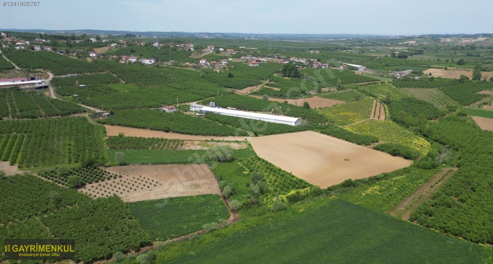 11.752 M² FIRSAT FINDIK BAHÇESİ SAKARYA KAYNARCA ZİAHMET MAH. - SAKARYA KAYNARCA fotoğraf 34