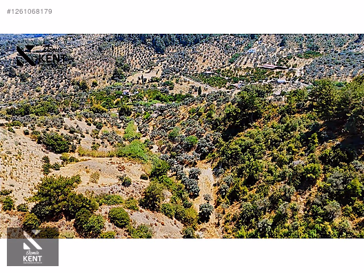 Kemalpaşa Yukarıkızılca Satılık 950 m2 Bahçe Tek Tapu - İZMİR KEMALPAŞA fotoğraf 10