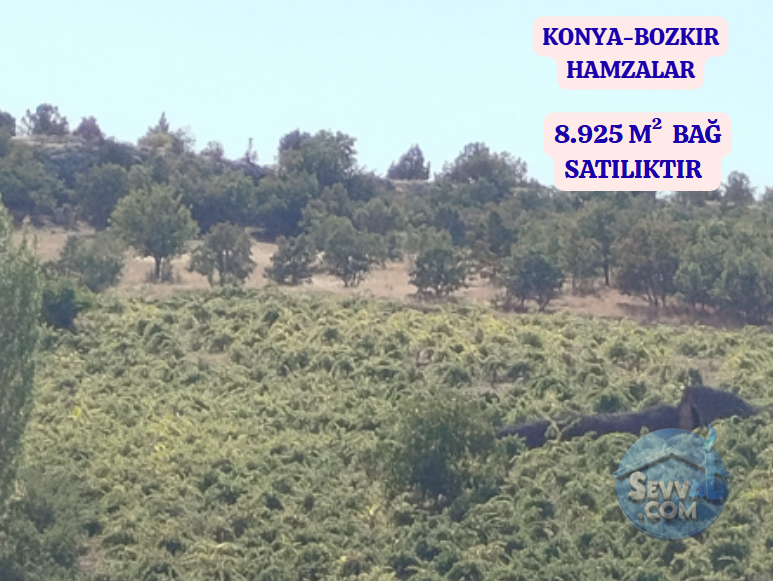 KONYA BOZKIR HAMZALAR  KÖYÜNDE 8.925 M²  BAĞ  SATILIKTIR - KONYA BOZKIR fotoğraf 2