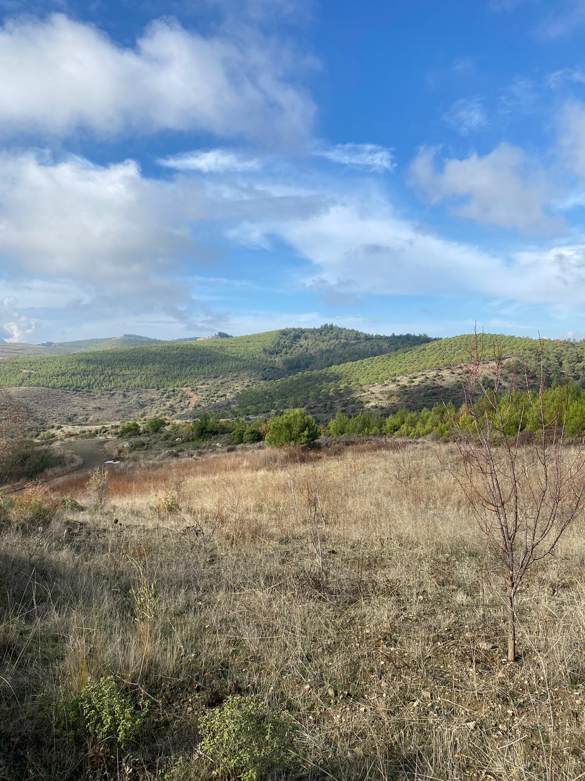 Manisa Yunusemre Büyüksümbüller Mah. Satılık Tarla - MANİSA YUNUSEMRE fotoğraf 3