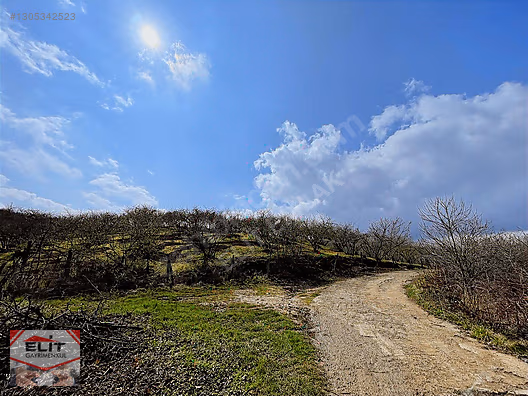 SAKARYA KARASUDA SATILIK 4400 M² PARSEL YOL SU ELEKTRİK - SAKARYA KARASU fotoğraf 24