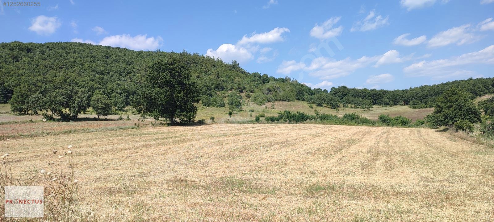 YÖRÜKLER MAHALLESİNDE ASFALT YOLA CEPHE SATILIK 5833 M2 TARLA - BURSA İZNİK fotoğraf 6