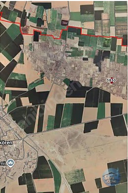 KONYA ÇUMRA ARIKÖREN DE 3.468 M² BAĞIMIZ SATILIKTIR - KONYA ÇUMRA fotoğraf 3
