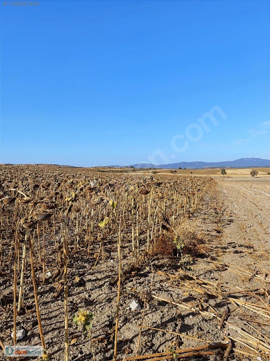 Bandırma Akçapınarda Yatırımlık Satılık 7.700 m2 Arazi. - BALIKESİR BANDIRMA fotoğraf 12