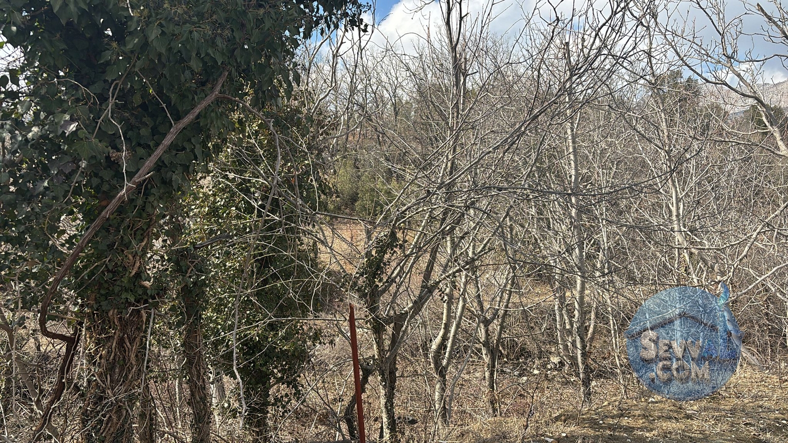 AĞLASUN SAKARCA MAHALLESİNDE SATILIK MUHTELİF ARSA - Burdur Ağlasun fotoğraf 19