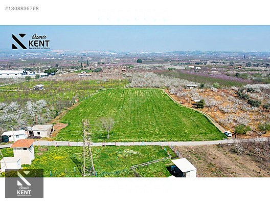 Kemalpaşa Ören 75. Yıl Satılık 8770 m2 Tek Tapu Tarla - İZMİR KEMALPAŞA fotoğraf 50