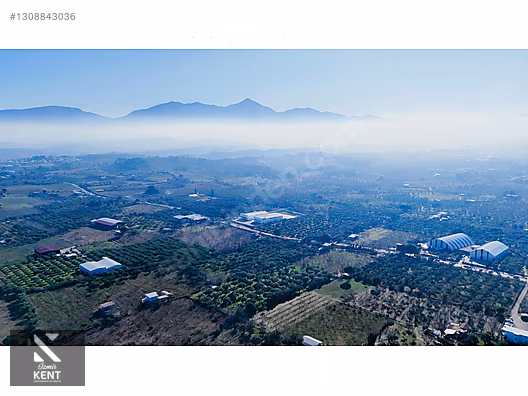 Kemalpaşa M.Akif Ersoy Satılık 7.250 m2 Bahçe Tek Tapu - İZMİR KEMALPAŞA fotoğraf 10
