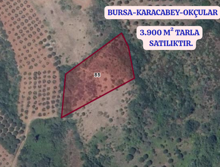 BURSA KARACABEY OKÇULAR  KÖYÜNDE 3.900 M TARLA SATILIKTIR - BURSA KARACABEY fotoğraf 2