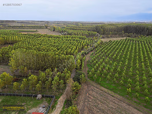 YATIRIM FIRSATI! ERENLER/ŞEYHKÖY MAH. 24.620 M² - SAKARYA ERENLER fotoğraf 25