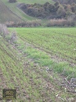KIRKLARELİ MERKEZ KAPAKLI SÜPER KONUMDA 1231 M2 TARLA - KIRKLARELİ MERKEZ fotoğraf 3