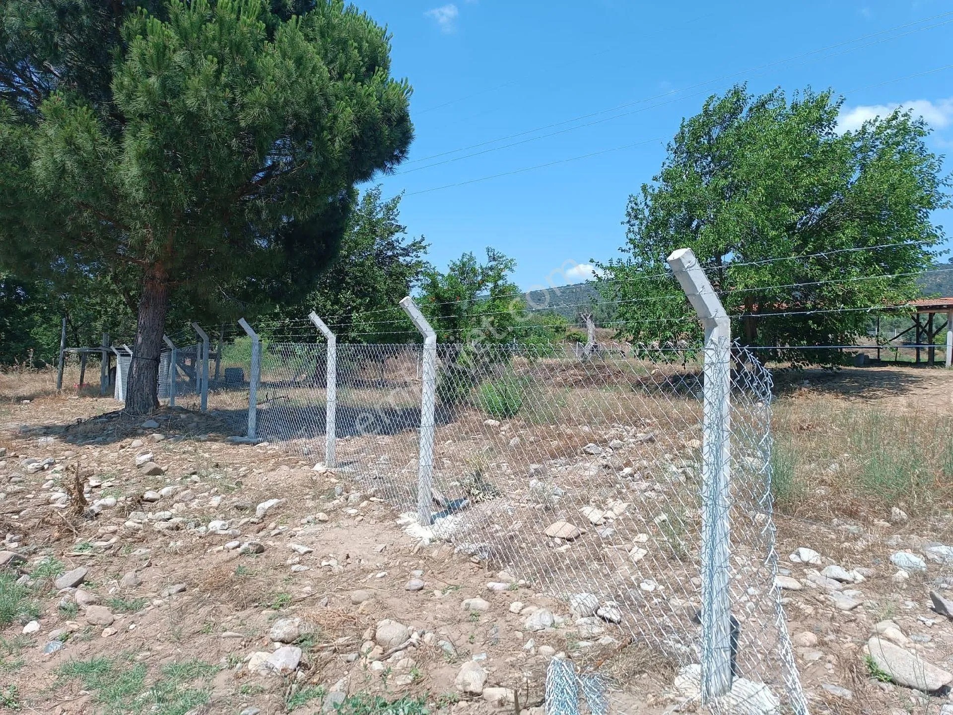 Balıkesir Burhaniye Bahadınlı Köyünde Satılık Tarla Bahçe - BALIKESİR BURHANİYE fotoğraf 10