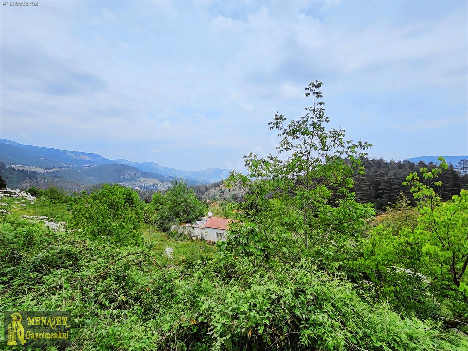 EVCİLİ KÖYÜ 10500 M2 EV VE CEVİZ BAHÇESİ - MERSİN TOROSLAR fotoğraf 4