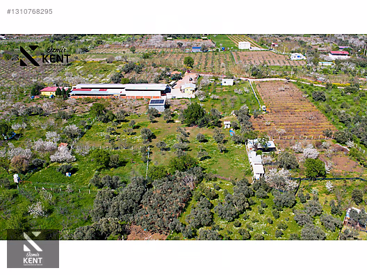 Kemalpaşa Armutlu Satılık Arazi 4.000 m2 - İZMİR KEMALPAŞA fotoğraf 13