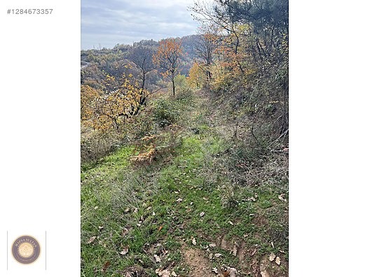 KESTEL LÜTFIYE MH SATILIK 1806M2 TARLA ASVALT YOLA CEPHE - BURSA KESTEL fotoğraf 13