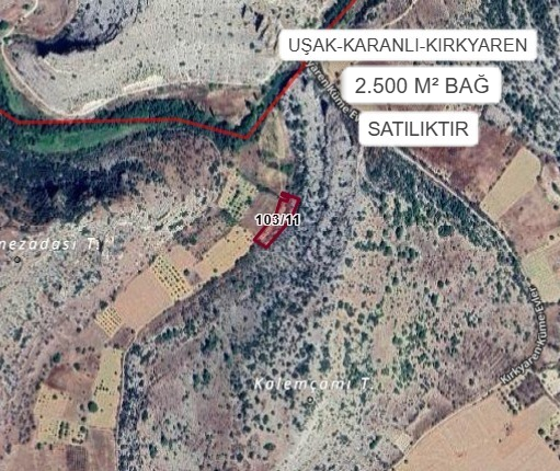UŞAK KARAHANLI KIRKYAREN KÖYÜ’NDE 2500 M² BAĞ SATILIKTIR - UŞAK KARAHALLI fotoğraf 2