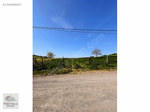 CİFTLİKKÖY 500 EVLER MAH.244 DÖNÜMDEN 12 DÖNÜM HİSSELİ TARLA - YALOVA ÇİFTLİKKÖY fotoğraf 7