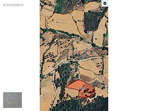 Fethiye Nif Merkezde İmarlı 150 m² Arsa Muhteşem Konum - MUĞLA FETHİYE fotoğraf 2