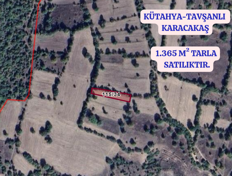 KÜTAHYA TAVŞANLI KARACAKAŞ KÖYÜNDE  1.365 M²  TARLA SATILIKTIR - KÜTAHYA TAVŞANLI fotoğraf 2