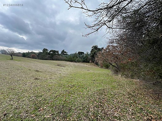 BALIKESİR İVRİNDİ BOZÖREN KÖYÜNDE 2.600 M² TARLA  SATILIKTIR - BALIKESİR İVRİNDİ fotoğraf 6
