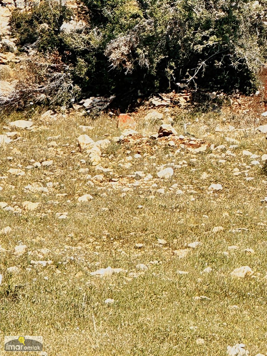 İMAR dan SOĞUCAKTA SATILIK 500 m2 KELEPİR ARSA - MERSİN TOROSLAR fotoğraf 6
