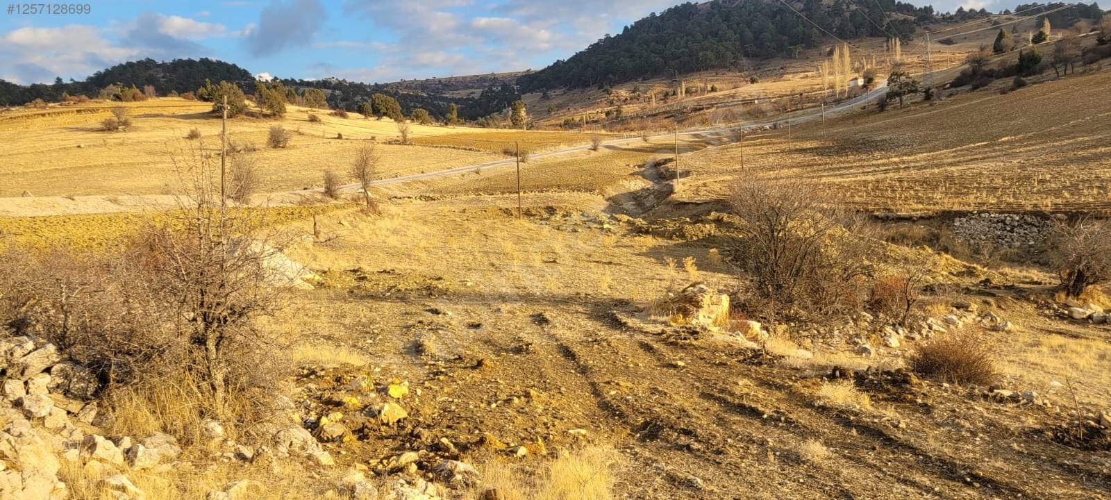 KARAMAN ELMADAĞI'da бѦŽŽЄ için ACİL 2,434M² Satılık Tarla - KARAMAN MERKEZ fotoğraf 6