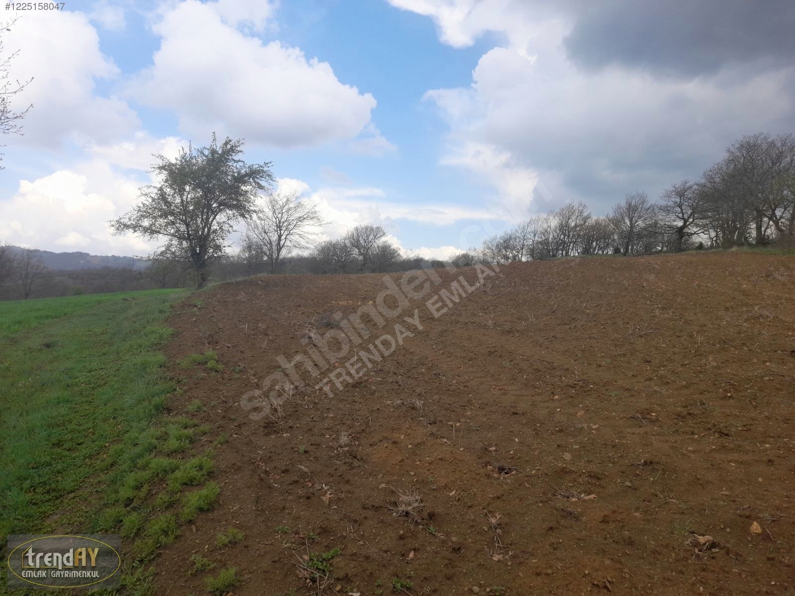 Dübekli Köyü'nde 10.570 m² Kadastral Yola Cepheli Tarlalar - BİLECİK BOZÜYÜK fotoğraf 21